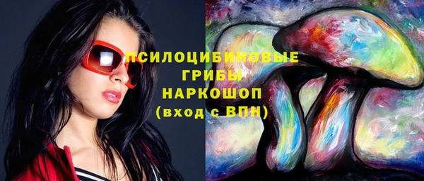 гашик Балахна
