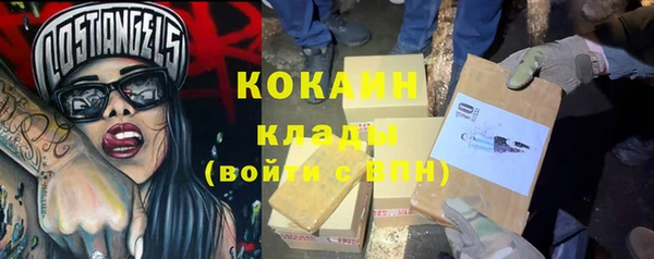 гашик Балахна